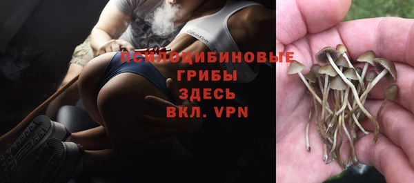 крисы Богородск