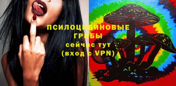 дурь Белоозёрский