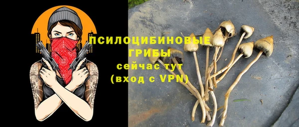 дурь Белоозёрский