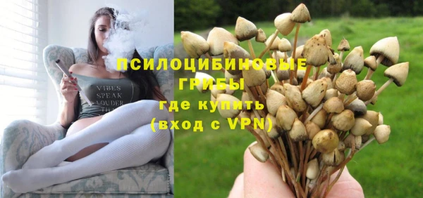 spice Богданович